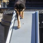 Training for a Truck Ramp